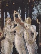 Sandro Botticelli La Primavera (mk39) oil painting picture wholesale